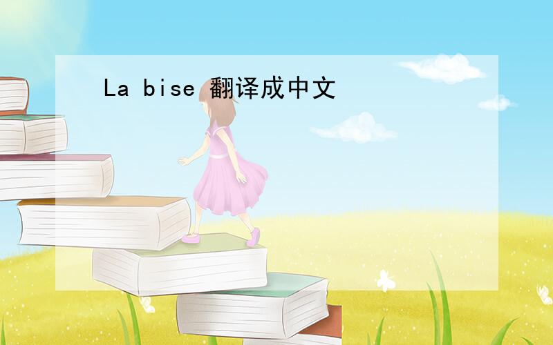 La bise 翻译成中文