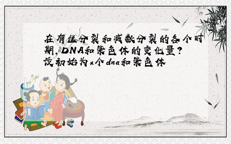 在有丝分裂和减数分裂的各个时期,DNA和染色体的变化量?设初始为x个dna和染色体