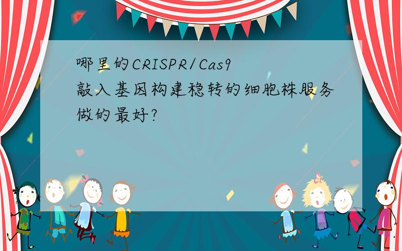 哪里的CRISPR/Cas9敲入基因构建稳转的细胞株服务做的最好?