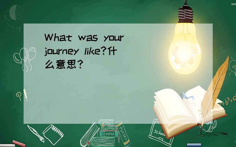 What was your journey like?什么意思?