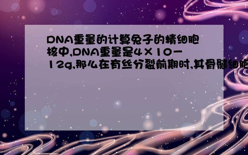 DNA重量的计算兔子的精细胞核中,DNA重量是4×10－12g,那么在有丝分裂前期时,其骨髓细胞中DNA重量是( )A、8×10－12g B、1.6×10－11g C、3.2×10－11g D、大于1.6×10－11g D为什么?