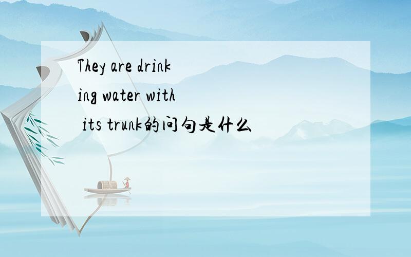 They are drinking water with its trunk的问句是什么