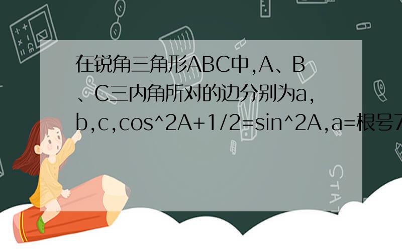 在锐角三角形ABC中,A、B、C三内角所对的边分别为a,b,c,cos^2A+1/2=sin^2A,a=根号7,(1)若b=3,求c (2...在锐角三角形ABC中,A、B、C三内角所对的边分别为a,b,c,cos^2A+1/2=sin^2A,a=根号7,(1)若b=3,求c(2)求三角形ABC