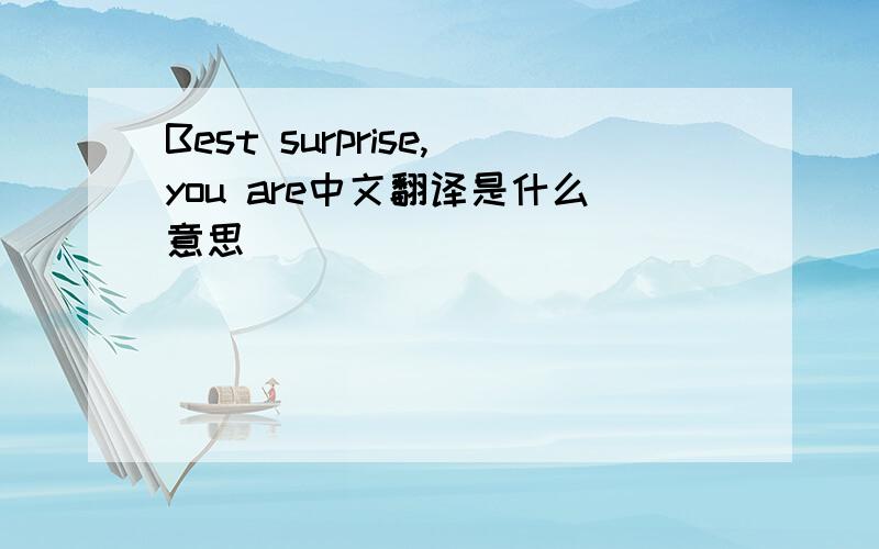 Best surprise,you are中文翻译是什么意思