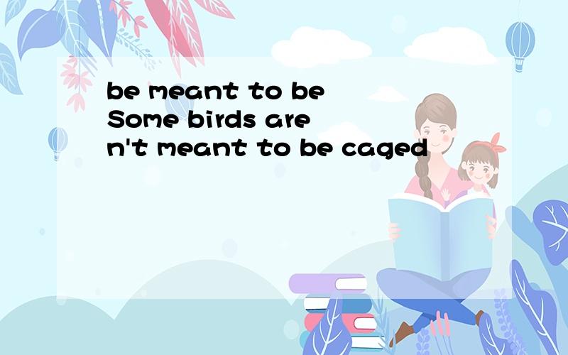 be meant to beSome birds aren't meant to be caged