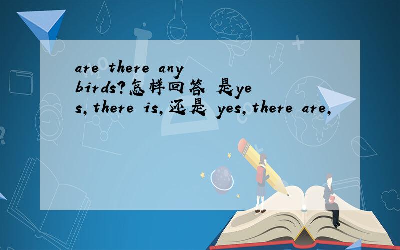 are there any birds?怎样回答 是yes,there is,还是 yes,there are,