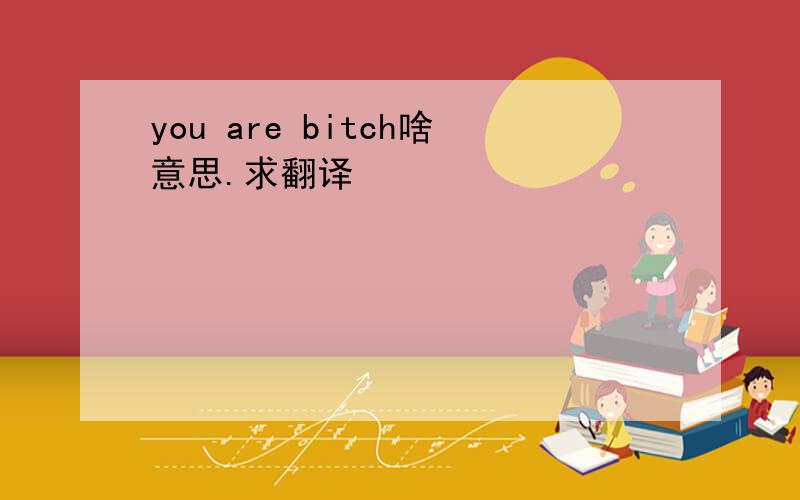 you are bitch啥意思.求翻译