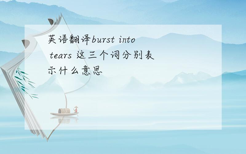 英语翻译burst into tears 这三个词分别表示什么意思