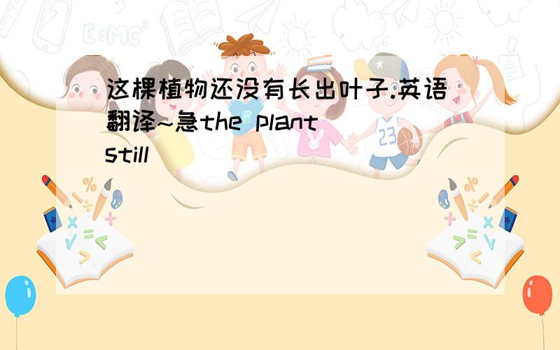 这棵植物还没有长出叶子.英语翻译~急the plant still _______  _______ leaves.