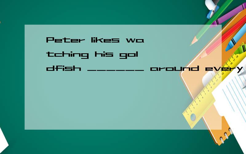Peter likes watching his goldfish ______ around every day. A:to swim B:swim C:swimming D:swims解析