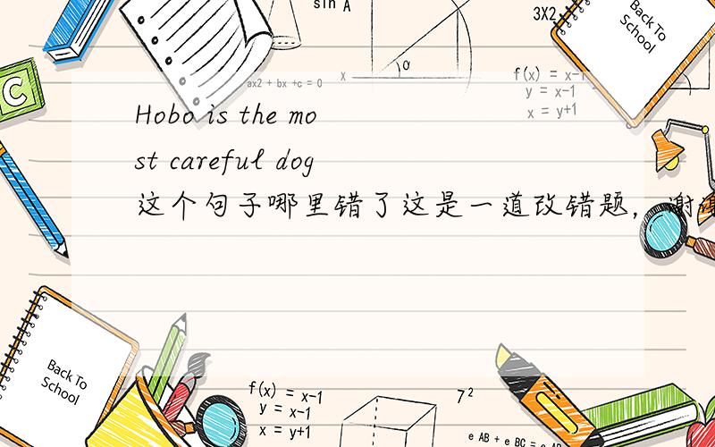 Hobo is the most careful dog这个句子哪里错了这是一道改错题，谢谢