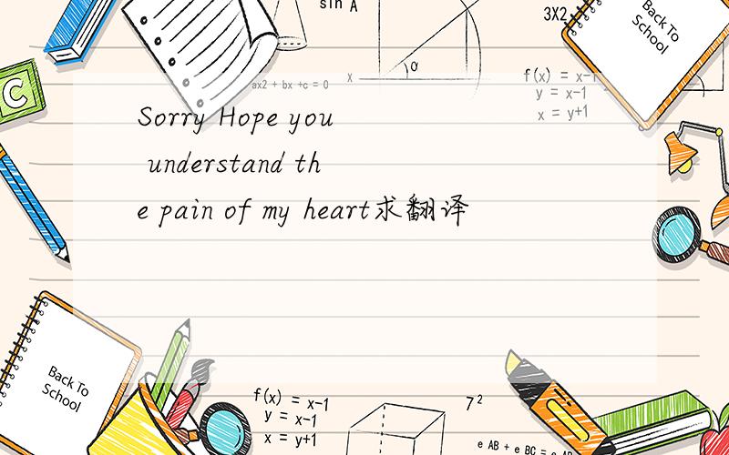 Sorry Hope you understand the pain of my heart求翻译