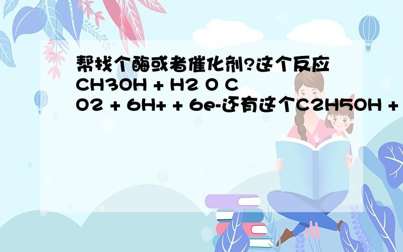 帮找个酶或者催化剂?这个反应CH3OH + H2 O CO2 + 6H+ + 6e-还有这个C2H5OH + 12OH → 2CO2 + 9H2O + 12e-这个3O2 + 6H2O + 12e- → 12OH先来50分意思一下答案好的话再加我找催化反应的酶或催化剂最好是酶什么条