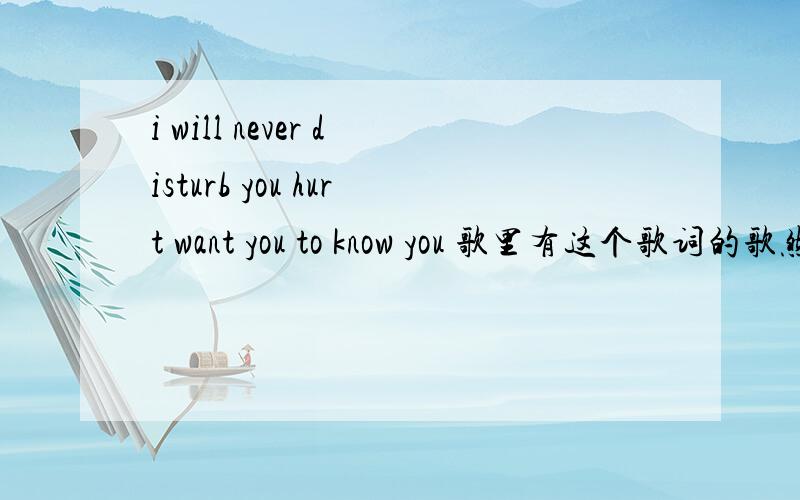 i will never disturb you hurt want you to know you 歌里有这个歌词的歌然后还有 i will i will i will``