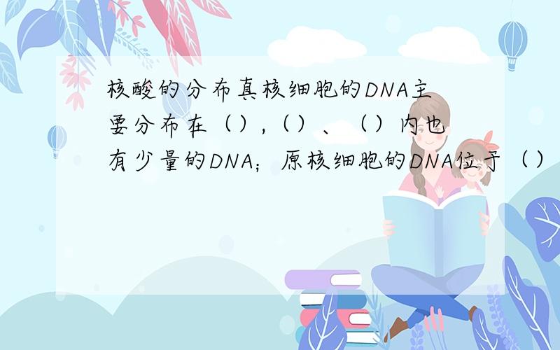 核酸的分布真核细胞的DNA主要分布在（）,（）、（）内也有少量的DNA；原核细胞的DNA位于（）：真核细胞的RNA主要分布在（）