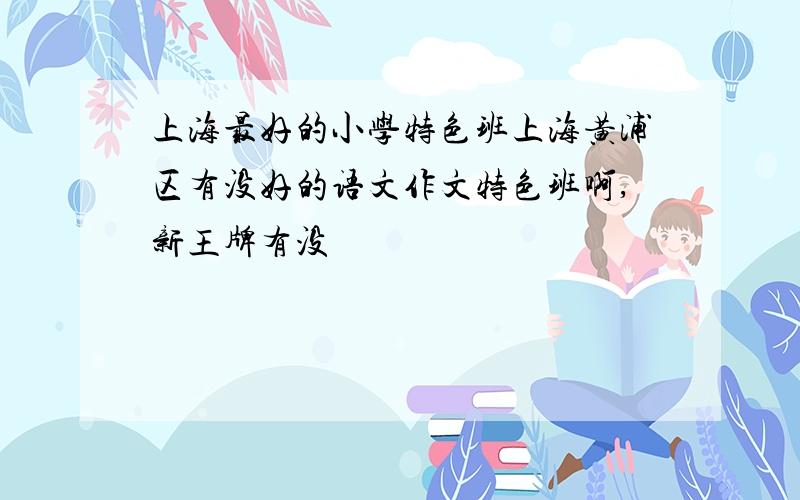 上海最好的小学特色班上海黄浦区有没好的语文作文特色班啊,新王牌有没