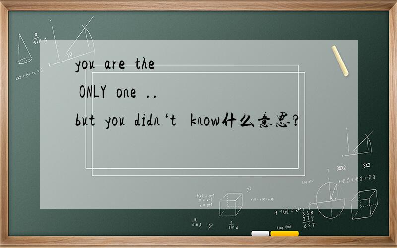 you  are  the  ONLY  one  ..but  you  didn‘t   know什么意思?
