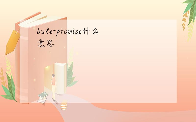 bule-promise什么意思