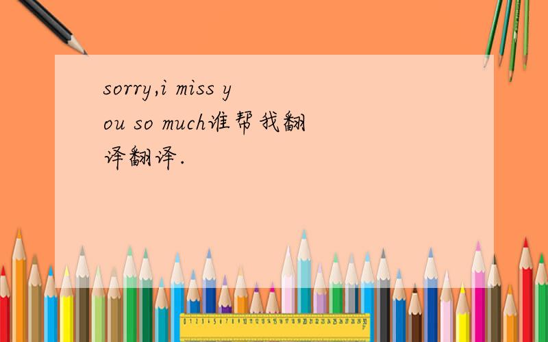 sorry,i miss you so much谁帮我翻译翻译.