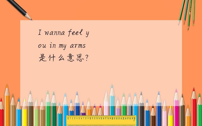 I wanna feel you in my arms 是什么意思?