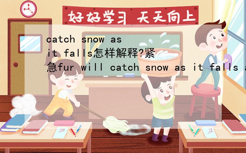 catch snow as it falls怎样解释?紧急fur will catch snow as it falls and hugely improve visibility.this comes in handy when climbing mountains.