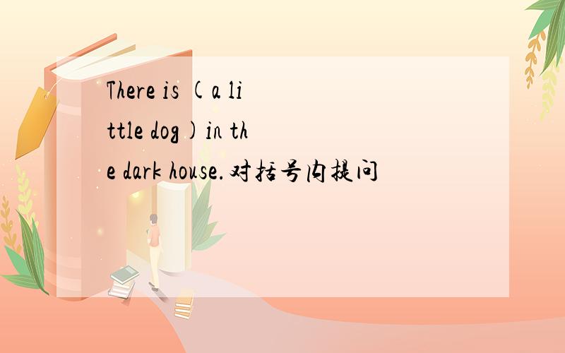 There is (a little dog)in the dark house.对括号内提问