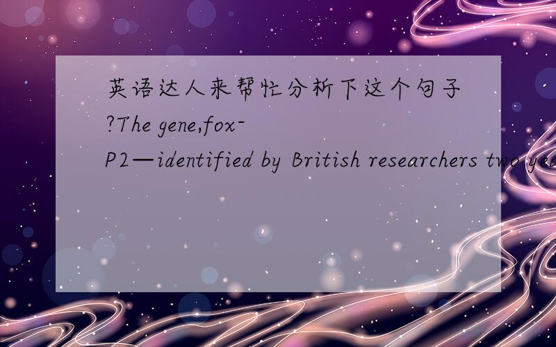 英语达人来帮忙分析下这个句子?The gene,fox-P2—identified by British researchers two years ago—could have been the switch that lit up art,culture and social hehaviour in Homo sapiens 50 000 years age.