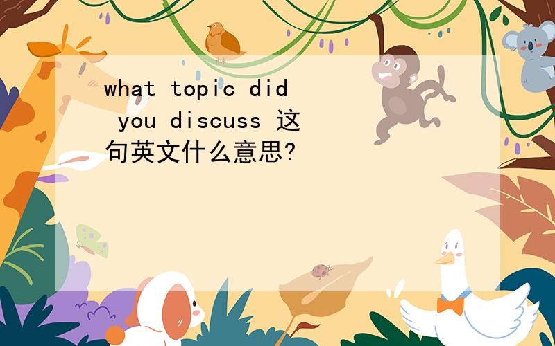 what topic did you discuss 这句英文什么意思?