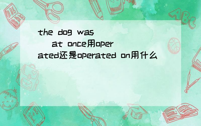 the dog was ___ at once用operated还是operated on用什么