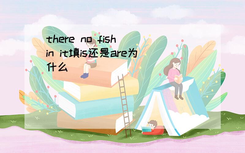 there no fish in it填is还是are为什么