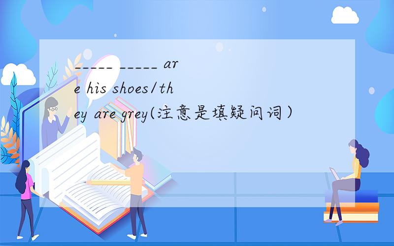 _____ _____ are his shoes/they are grey(注意是填疑问词）