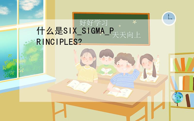 什么是SIX_SIGMA_PRINCIPLES?