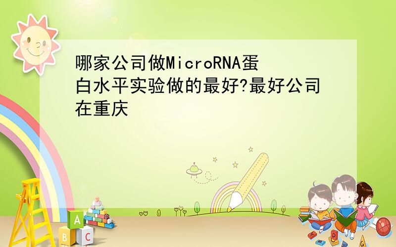 哪家公司做MicroRNA蛋白水平实验做的最好?最好公司在重庆