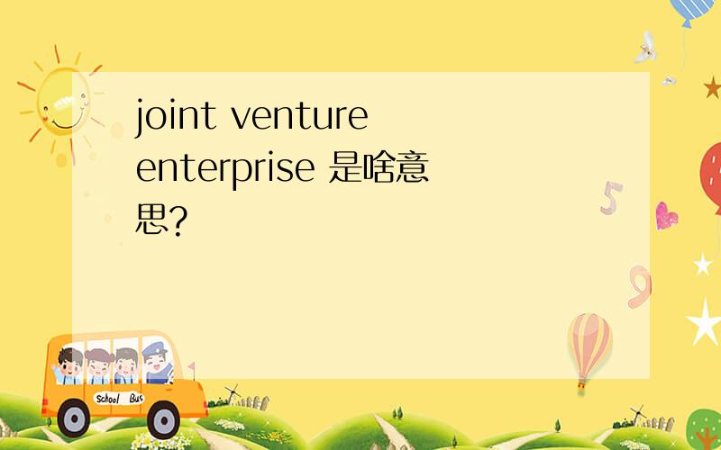 joint venture enterprise 是啥意思?