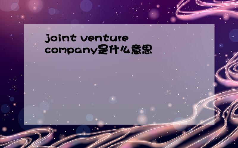 joint venture company是什么意思