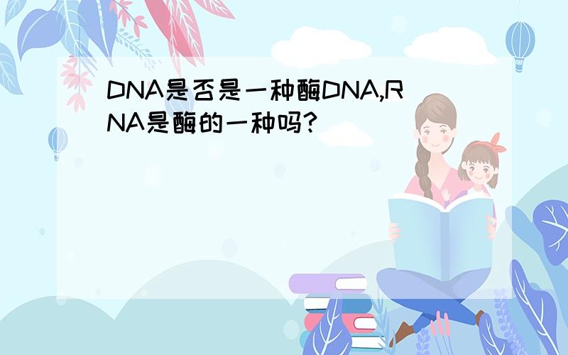 DNA是否是一种酶DNA,RNA是酶的一种吗?