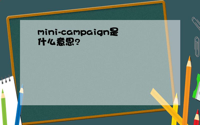 mini-campaign是什么意思?