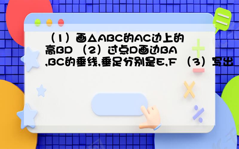 （1）画△ABC的AC边上的高BD （2）过点D画边BA,BC的垂线,垂足分别是E,F （3）写出（1）画△ABC的AC边上的高BD（2）过点D画边BA,BC的垂线,垂足分别是E,F（3）写出D到AB,BC的距离分别是哪一条线段的