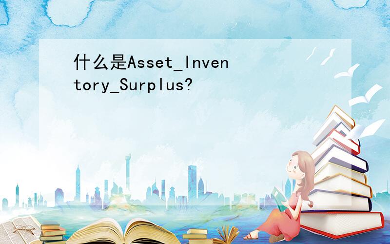 什么是Asset_Inventory_Surplus?