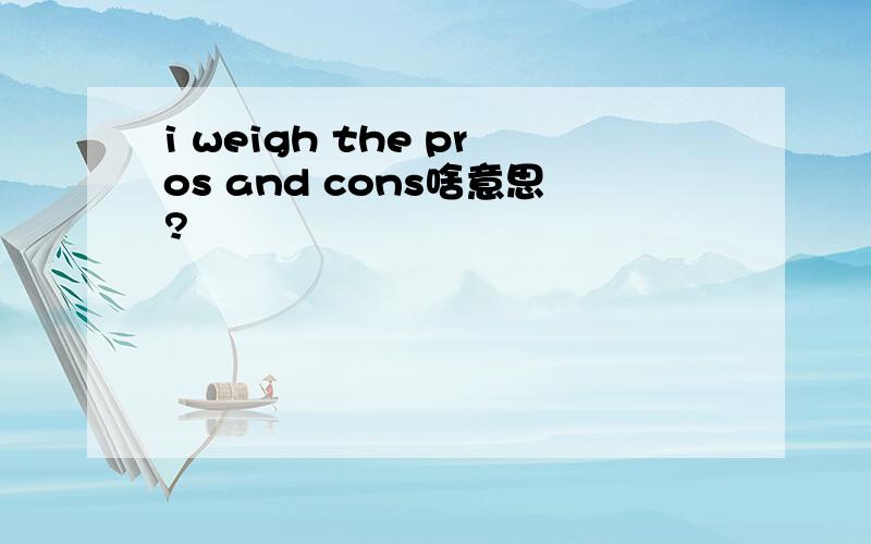 i weigh the pros and cons啥意思?