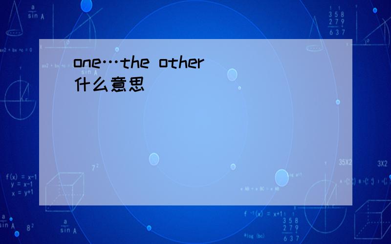one…the other（什么意思）