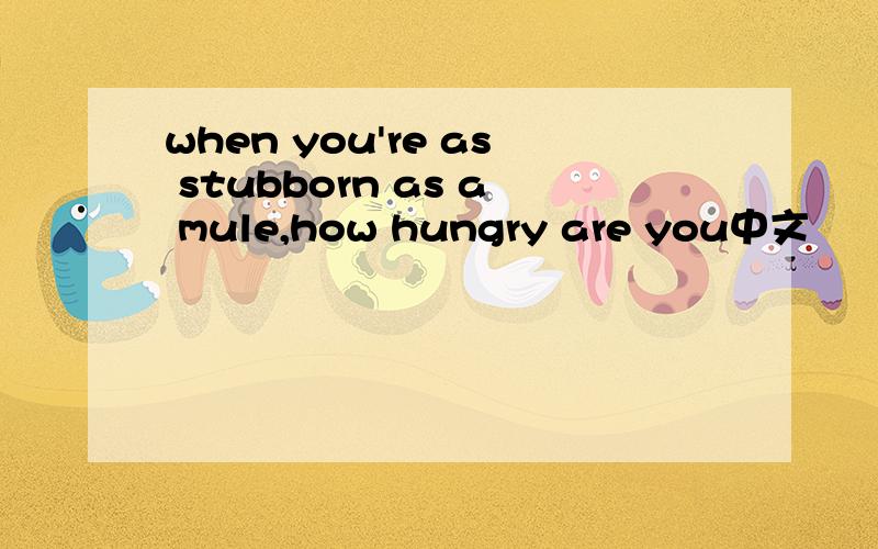 when you're as stubborn as a mule,how hungry are you中文