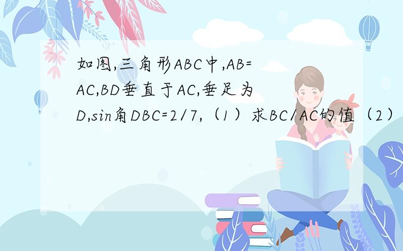 如图,三角形ABC中,AB=AC,BD垂直于AC,垂足为D,sin角DBC=2/7,（1）求BC/AC的值（2）如果三角形ABC的周长18,求三角形ABC的面积