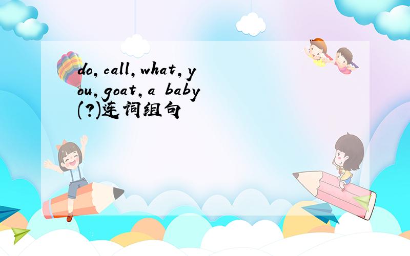 do,call,what,you,goat,a baby(?)连词组句