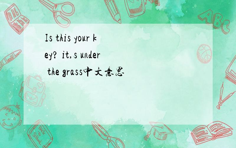Is this your key? it,s under the grass中文意思