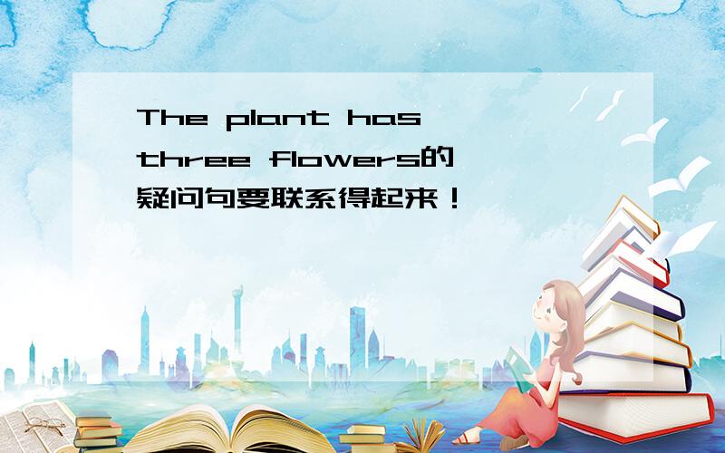The plant has three flowers的疑问句要联系得起来！