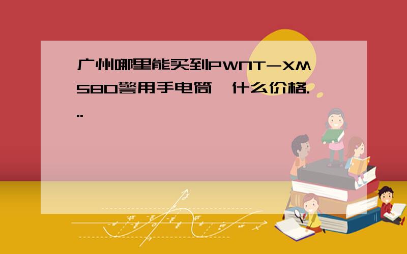 广州哪里能买到PWNT-XM580警用手电筒,什么价格...