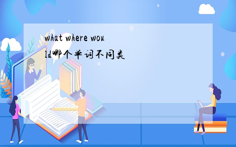 what where would哪个单词不同类