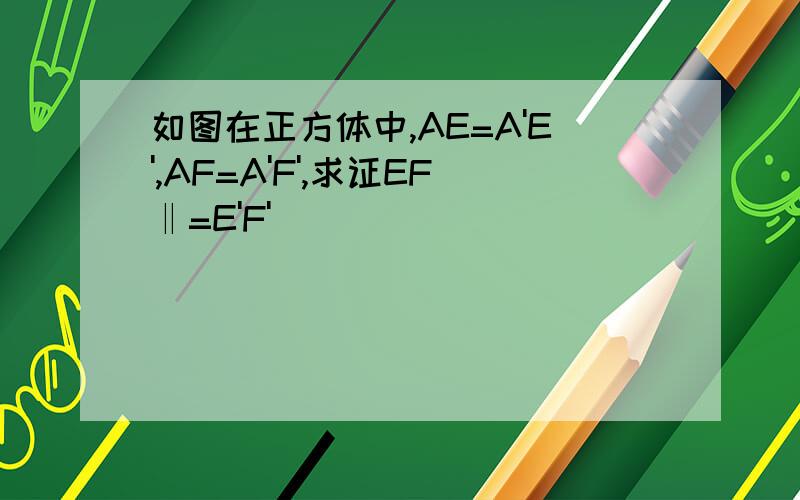 如图在正方体中,AE=A'E',AF=A'F',求证EF‖=E'F'