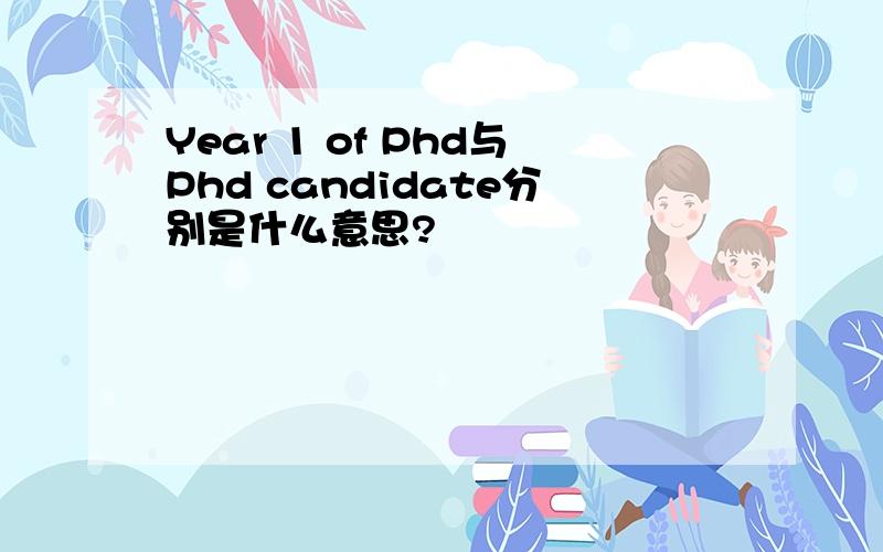 Year 1 of Phd与Phd candidate分别是什么意思?